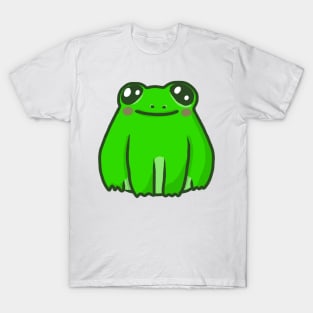 tiny froggy friend T-Shirt